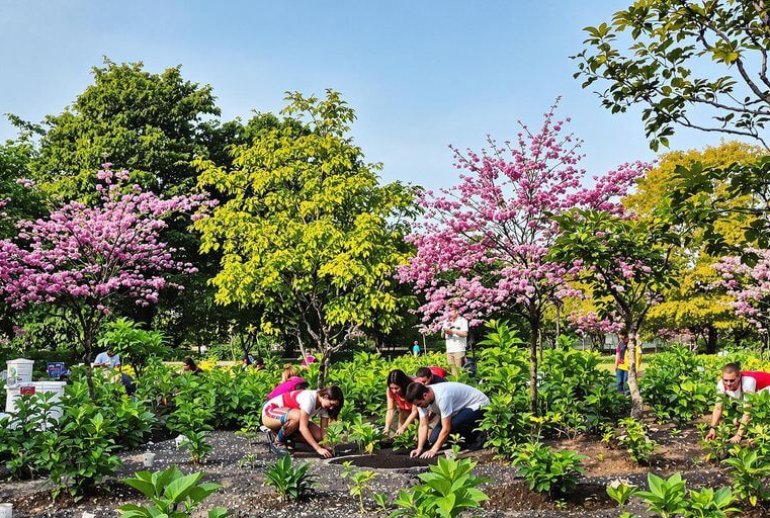 People planting trees in a green, vibrant environment.